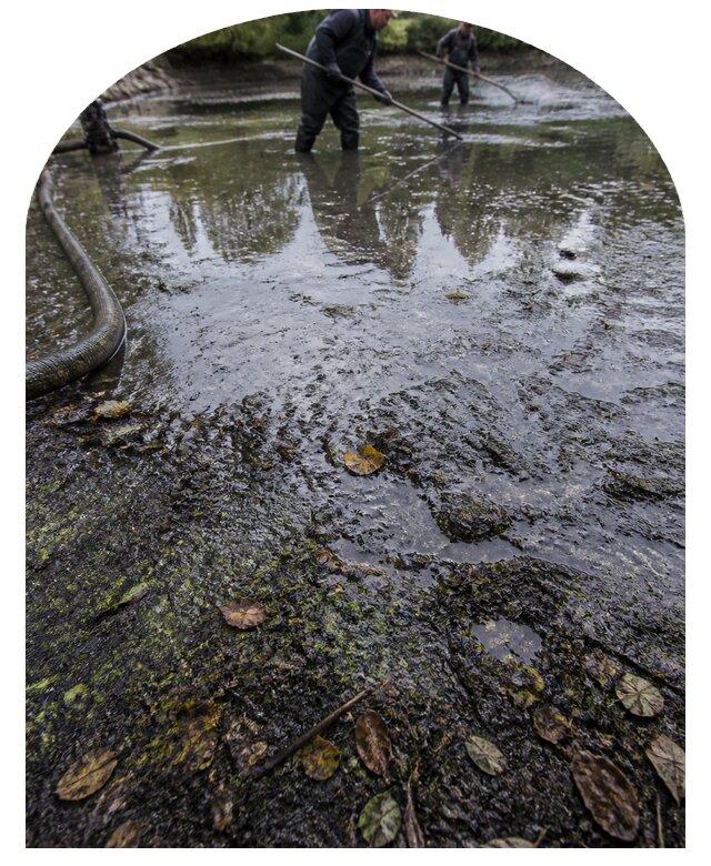 Очистка пруда в Нефтекамске от ила мусора и водорослей с вывозом